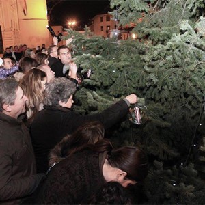 Kako je i zašto započelo predbožićno kićenje bora ispred zagrebačke katedrale? (2/3)